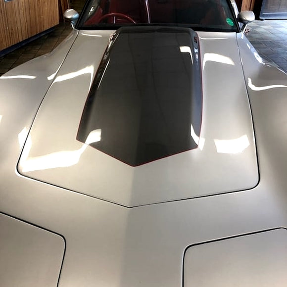 1 AND HALF HOURS  THAT IS ALL IT TOOK TO PORZELACK POLISH THIS CORVETTE.