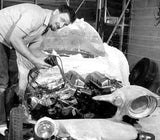 ED ROTH,S LIFE IN PHOTOS